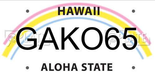 GAKO65 Hawaii License Plate