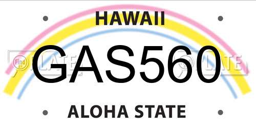 GAS560 Hawaii License Plate