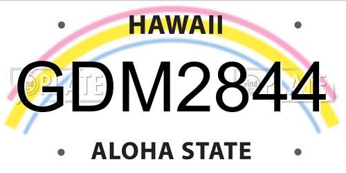 GDM2844 Hawaii License Plate