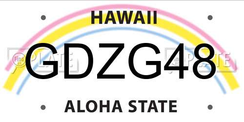 GDZG48 Hawaii License Plate