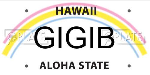 GIGIB Hawaii License Plate