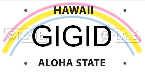 GIGID Hawaii License Plate