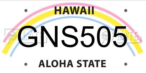 GNS505 Hawaii License Plate