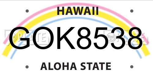 GOK8538 Hawaii License Plate