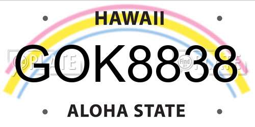 GOK8838 Hawaii License Plate