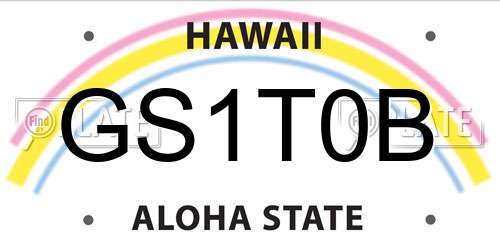 GS1T0B Hawaii License Plate