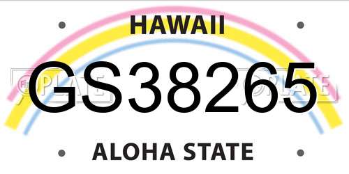 GS38265 Hawaii License Plate