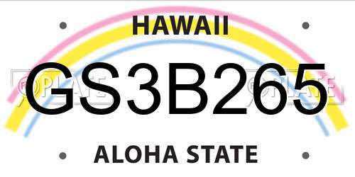 GS3B265 Hawaii License Plate