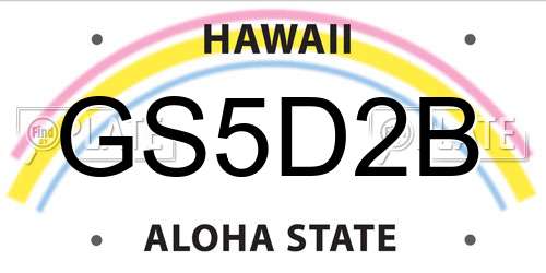 GS5D2B Hawaii License Plate