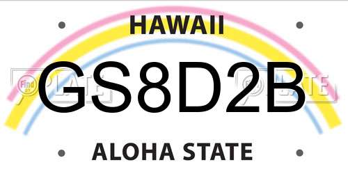 GS8D2B Hawaii License Plate