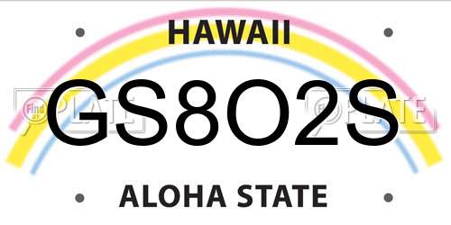 GS8O2S Hawaii License Plate