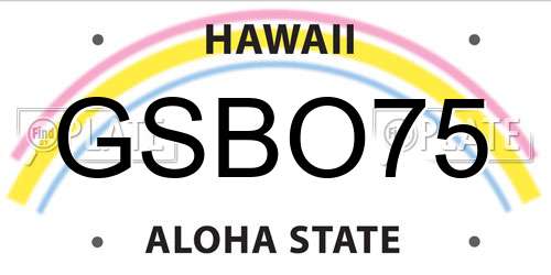 GSBO75 Hawaii License Plate