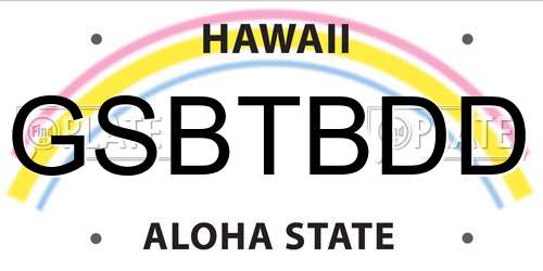 GSBTBDD Hawaii License Plate