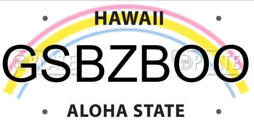GSBZBOO Hawaii License Plate