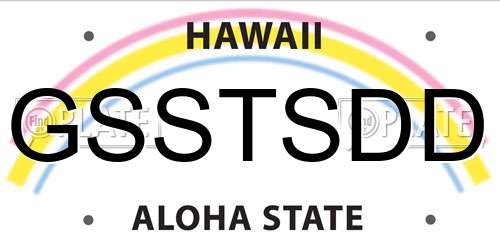 GSSTSDD Hawaii License Plate