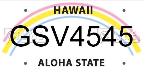 GSV4545 Hawaii License Plate