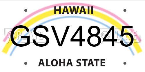 GSV4845 Hawaii License Plate
