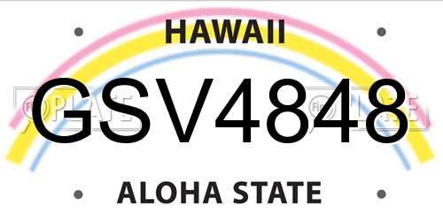 GSV4848 Hawaii License Plate
