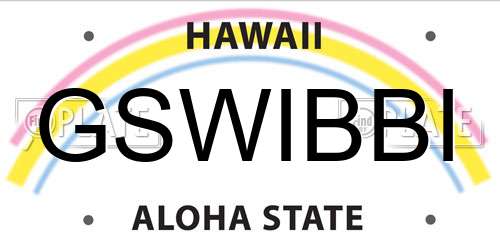 GSWIBBI Hawaii License Plate