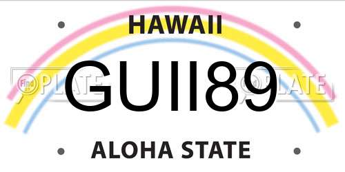 GUII89 Hawaii License Plate