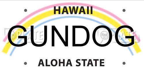 GUNDOG Hawaii License Plate