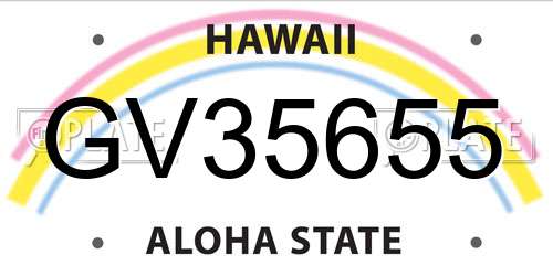GV35655 Hawaii License Plate