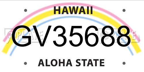 GV35688 Hawaii License Plate
