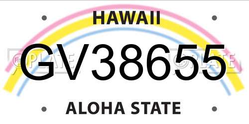 GV38655 Hawaii License Plate