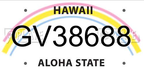 GV38688 Hawaii License Plate
