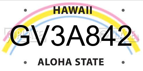 GV3A842 Hawaii License Plate