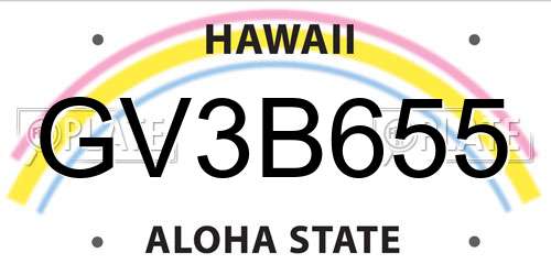 GV3B655 Hawaii License Plate