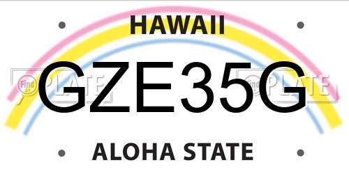 GZE35G Hawaii License Plate