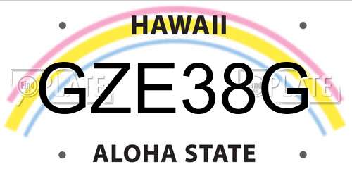 GZE38G Hawaii License Plate