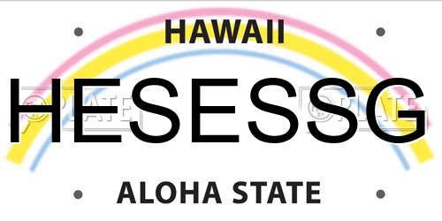 HESESSG Hawaii License Plate