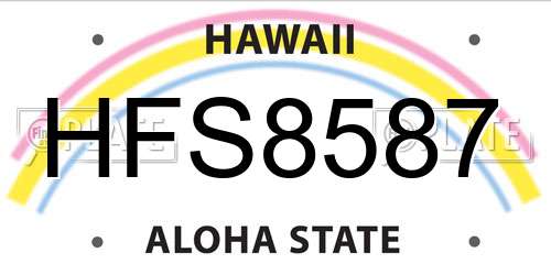 HFS8587 Hawaii License Plate