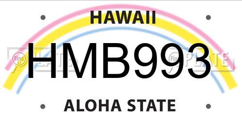 HMB993 Hawaii License Plate