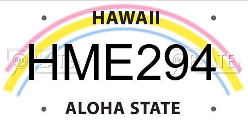 HME294 Hawaii License Plate