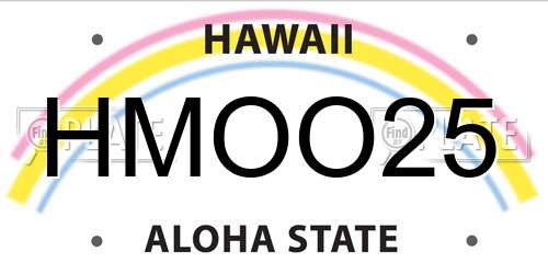 HMOO25 Hawaii License Plate