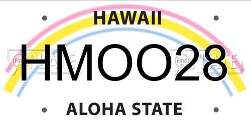 HMOO28 Hawaii License Plate