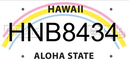 HNB8434 Hawaii License Plate
