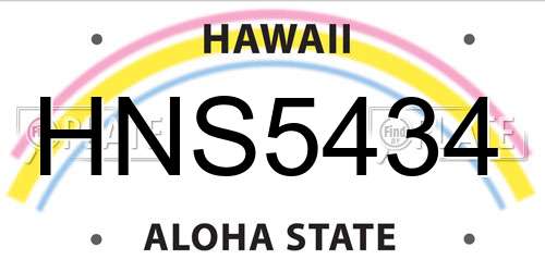 HNS5434 Hawaii License Plate