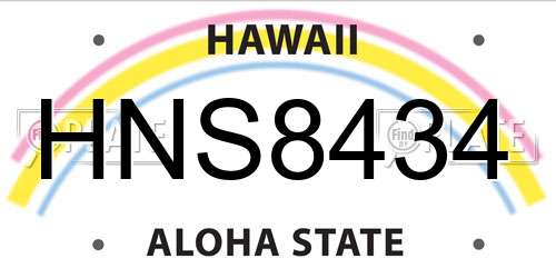 HNS8434 Hawaii License Plate