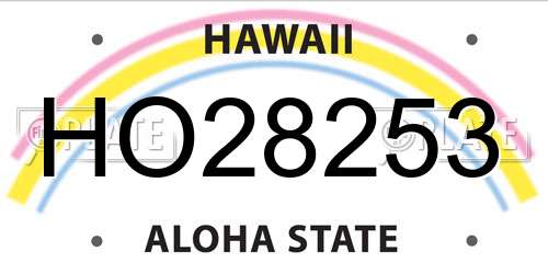 HO28253 Hawaii License Plate