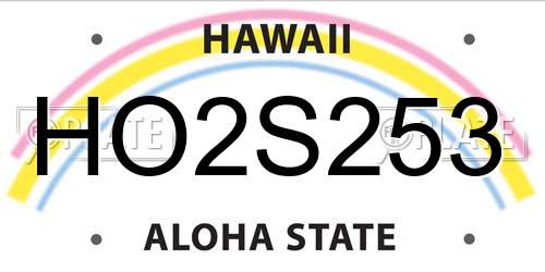 HO2S253 Hawaii License Plate