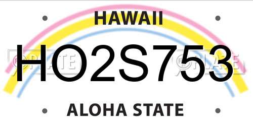 HO2S753 Hawaii License Plate