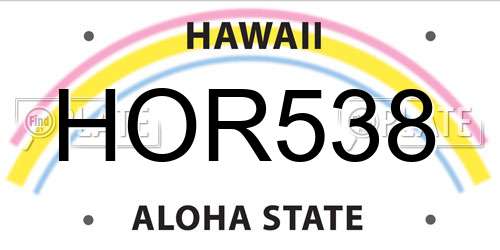 HOR538 Hawaii License Plate