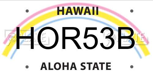 HOR53B Hawaii License Plate