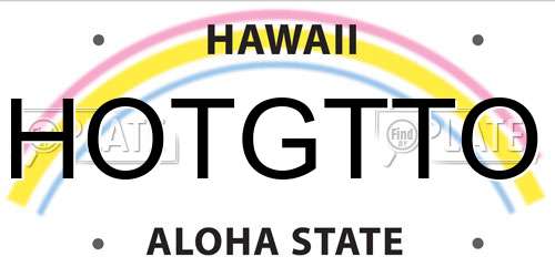 HOTGTTO Hawaii License Plate