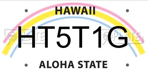 HT5T1G Hawaii License Plate