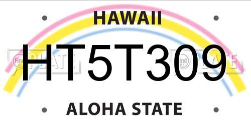 HT5T309 Hawaii License Plate